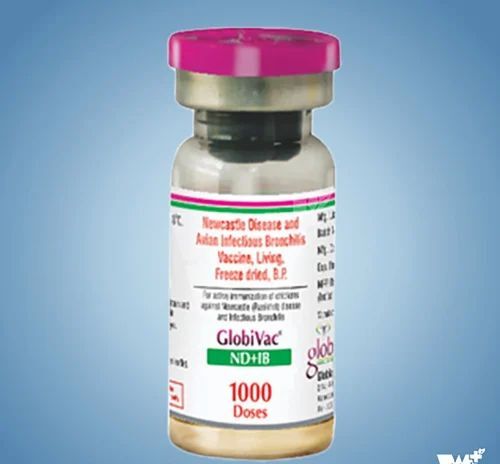 Globivac ND IB