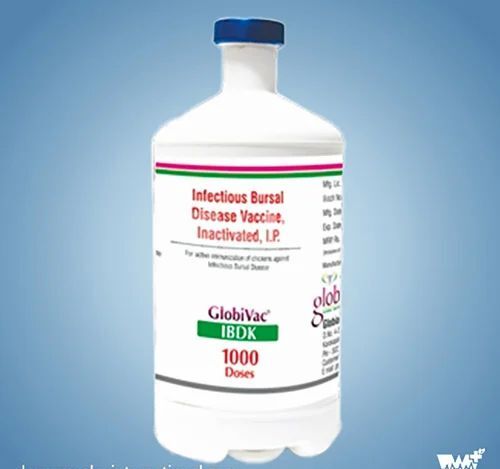 GlobiVac IBDK 1000 Doses