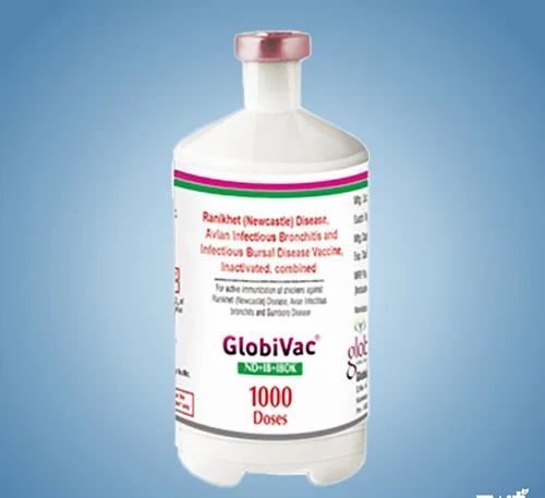 Globivac Nd Ib Ibdk