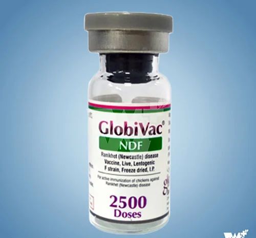 Globivac Ndf Veterinary Vaccines