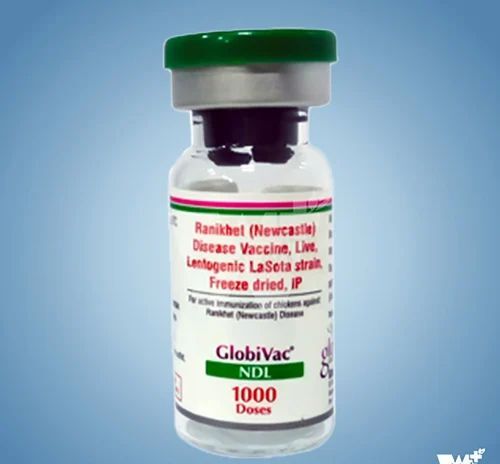 Globivac Ndl Veterinary Vaccines