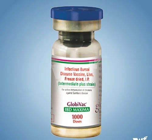 Globivac IBD Maxima