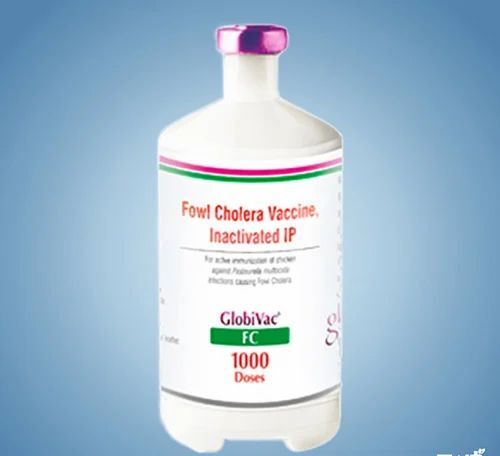 Globivac Fowl CHOLERA
