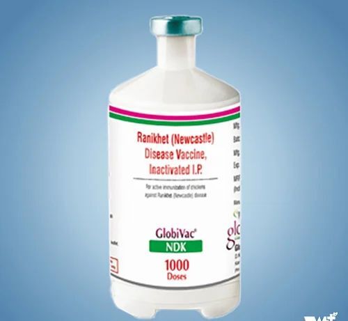 Globivac Ndk Veterinary Vaccines