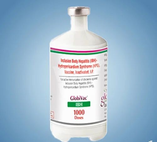 Globivac Ibh veterinary