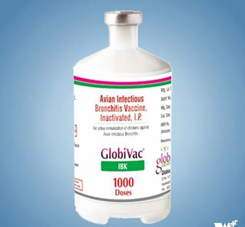 GlobiVac IBK 1000 Doses