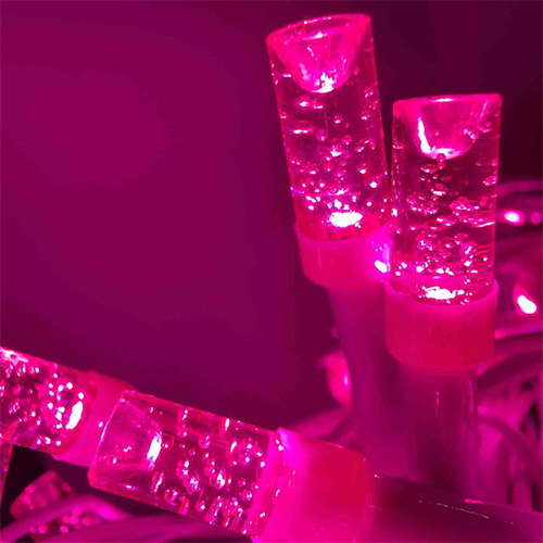 Pink LED Light