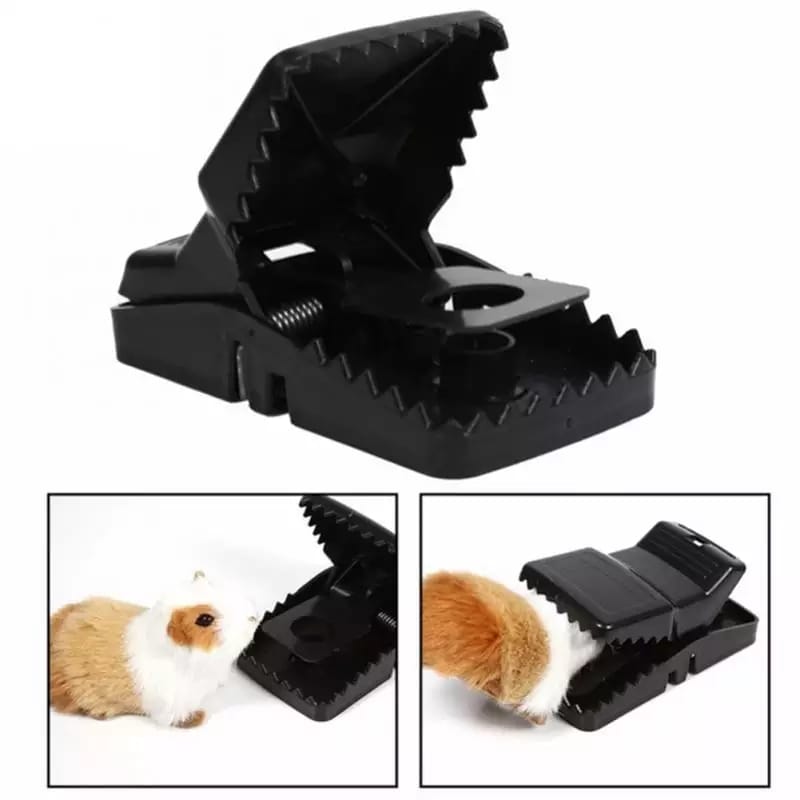 Mouse Trap Cage with Dummy Mouse Reusable Pest Control for Home & Office (1 Pc)