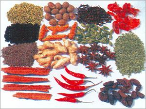 मसाले और सीज़निंग्स