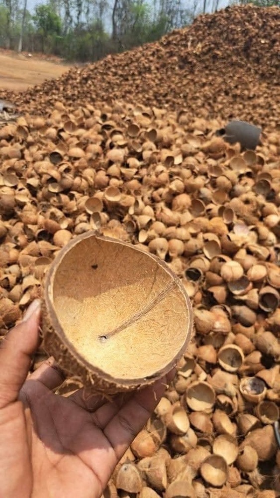 Dense Coconut Shell - Color: Natural Brown