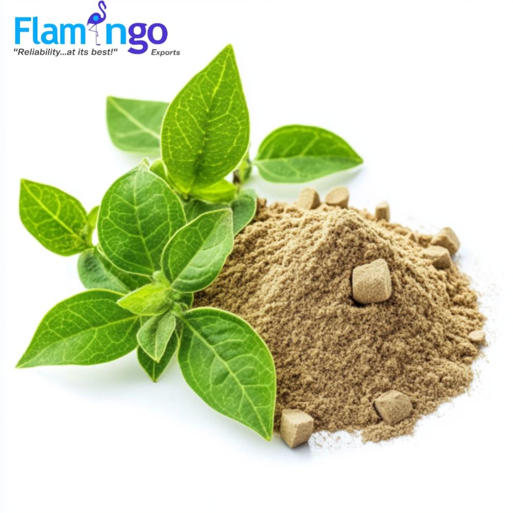 Gymnema Extract