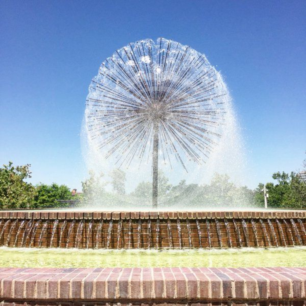 Outdoor Dandelion fountain
