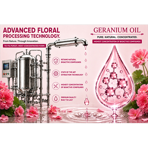 Geranium Essential Oil