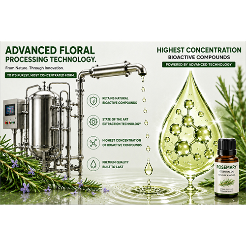 Rosemary Essential Oil