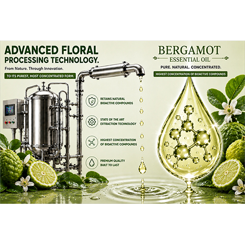 Bergamot Essential Oil