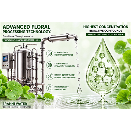 Brahmi Water