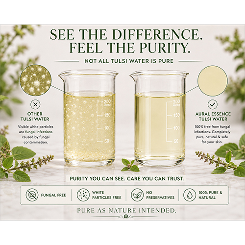 Tulsi Water