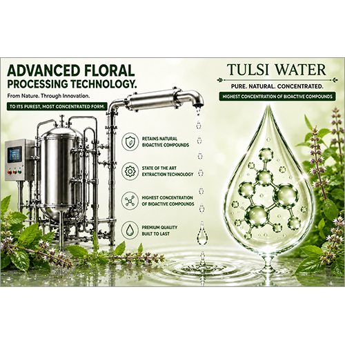 Tulsi Water