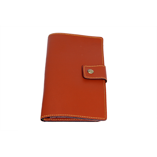 PT698 Passport Travel Wallet