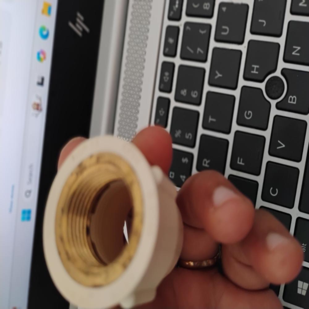 WINMAX CPVC Reducer Brass FTA