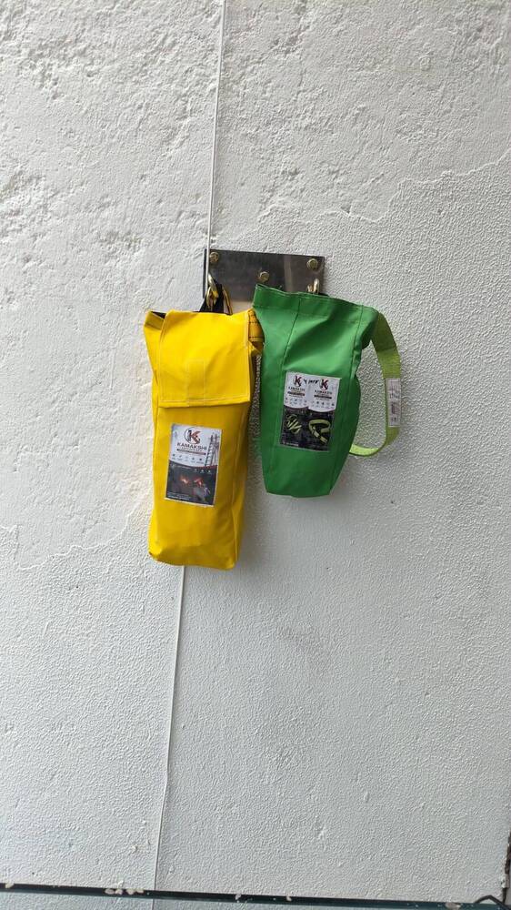Emergency rescue ladder