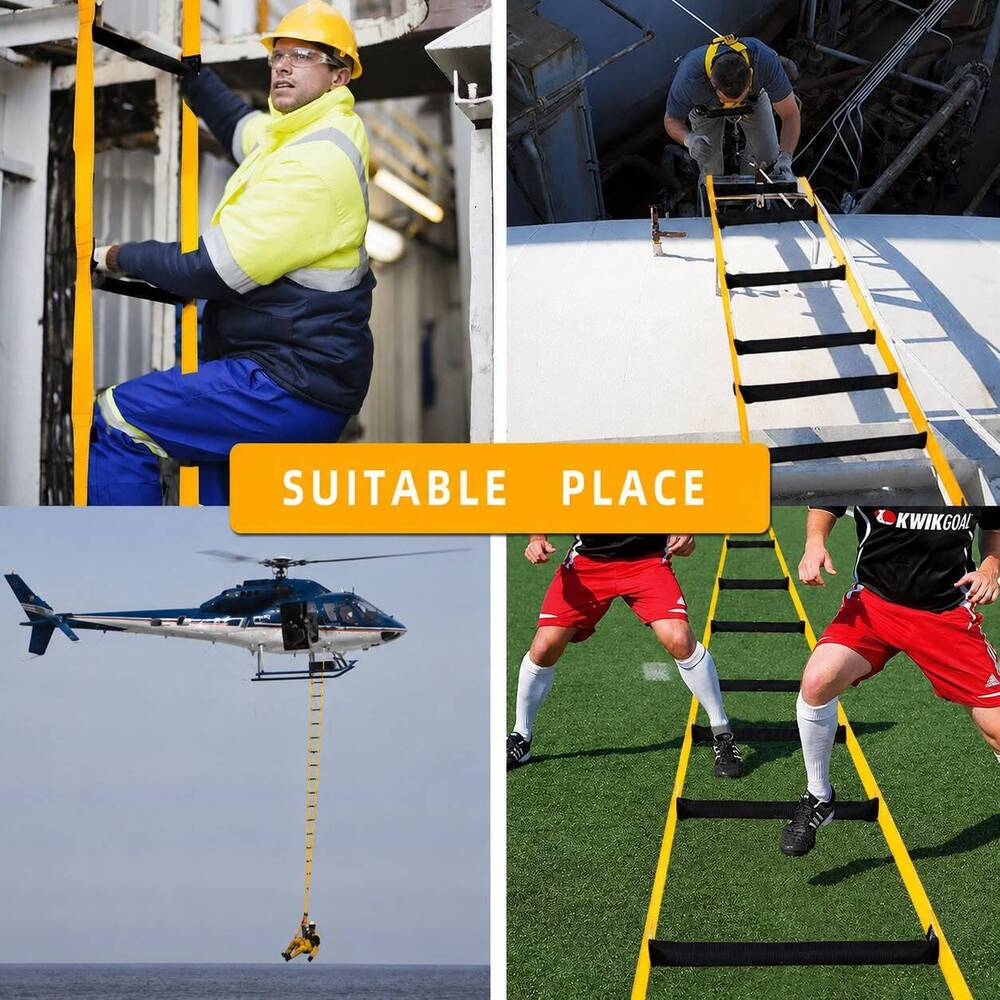 Emergency rescue ladder