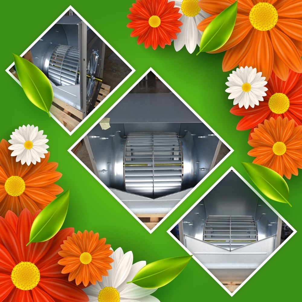 Nicotra Forward Curved Centrifugal Fan ADH 280 R Supplier in India