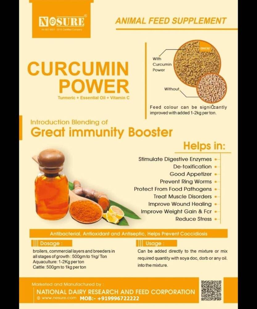 Nesure Curcumin power