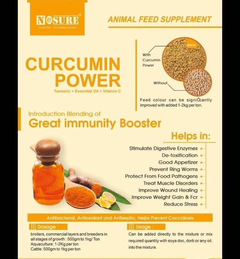 Nesure Curcumin Power - Type: Cow Special Feed Supplement