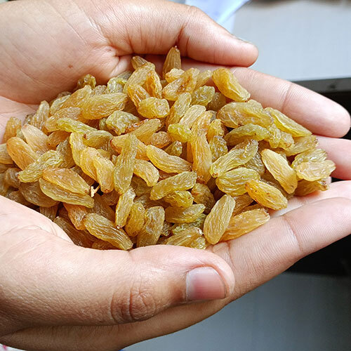 Long Golden Raisins