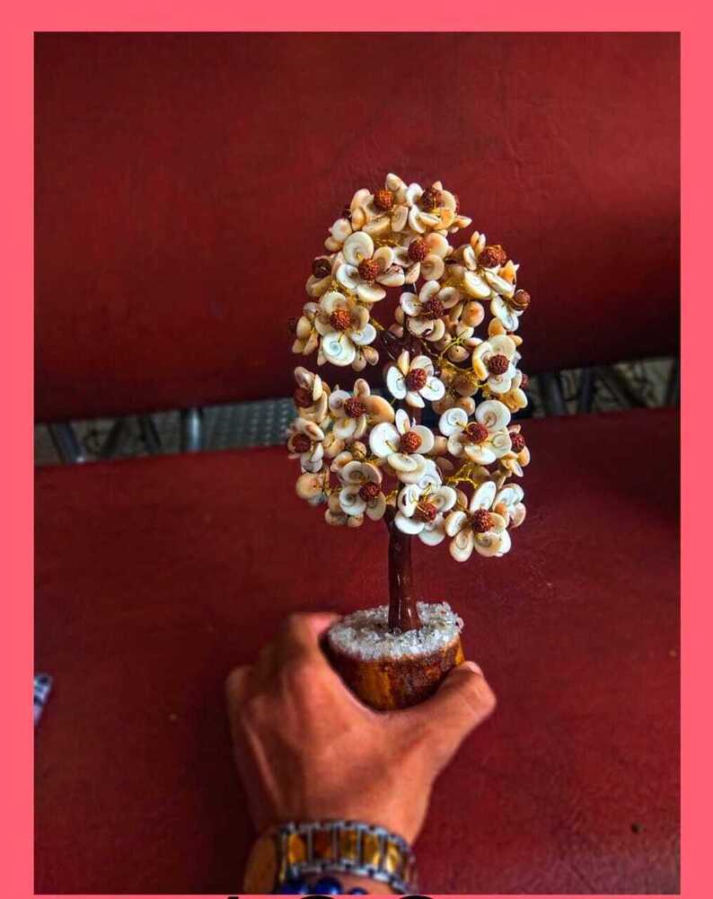 Gomti Chakra Rudraksha Tree 360 Chips