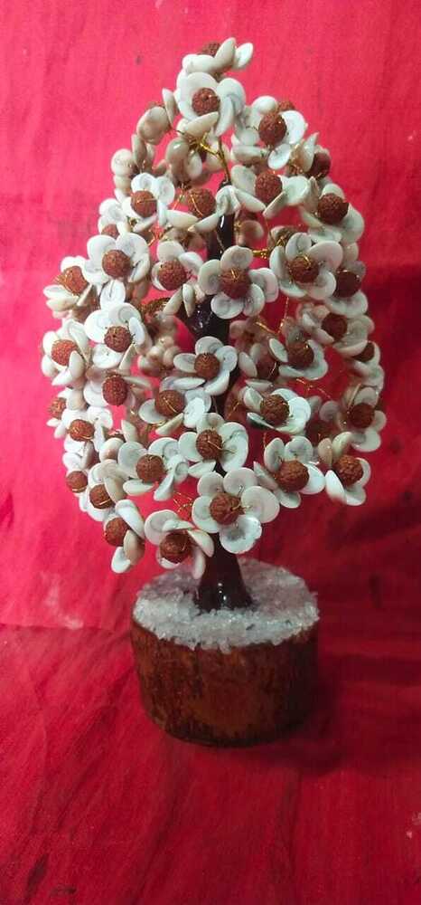 Gomti Chakra Rudraksha Tree 500 Chips