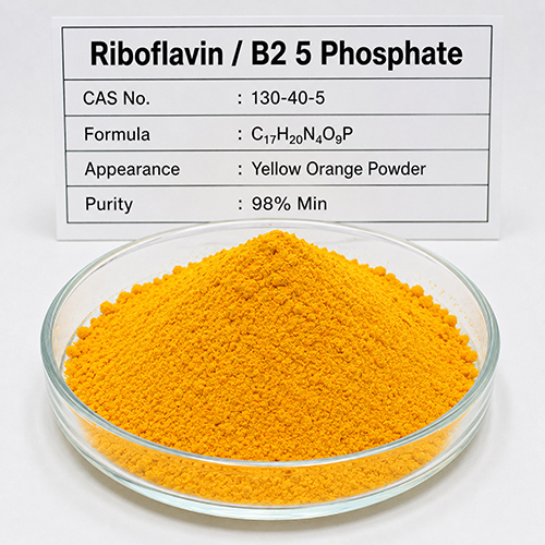 Riboflavin - B2 5 Phosphate