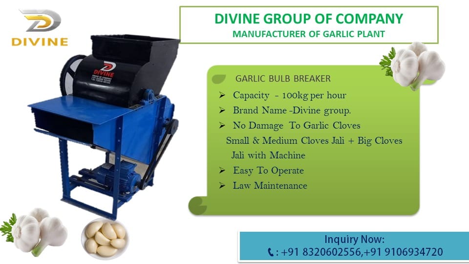 Mini Garlic Bulb Breaker Machine