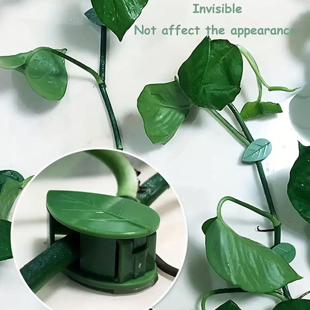 Plant Climbing Wall Clip,Self-Adhesive Vines Support Hooks For Indoor & Outdoor (10 Pcs Set) - Application: As Per Product Requirement