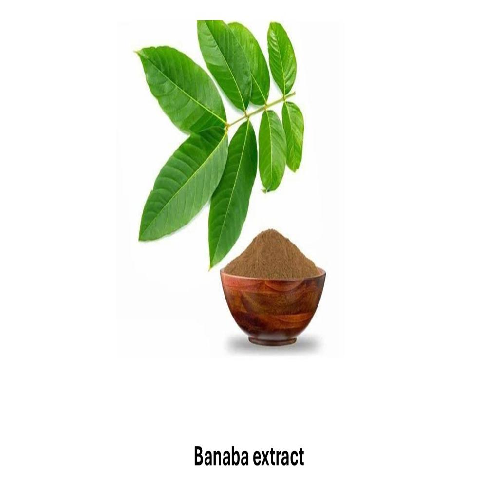 Banaba Dry Extract 10% - Color: Brown Powder