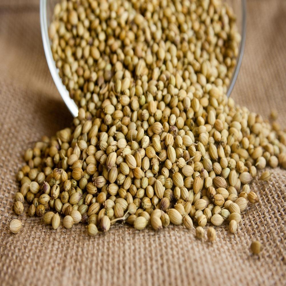 CORIENDER SEEDS