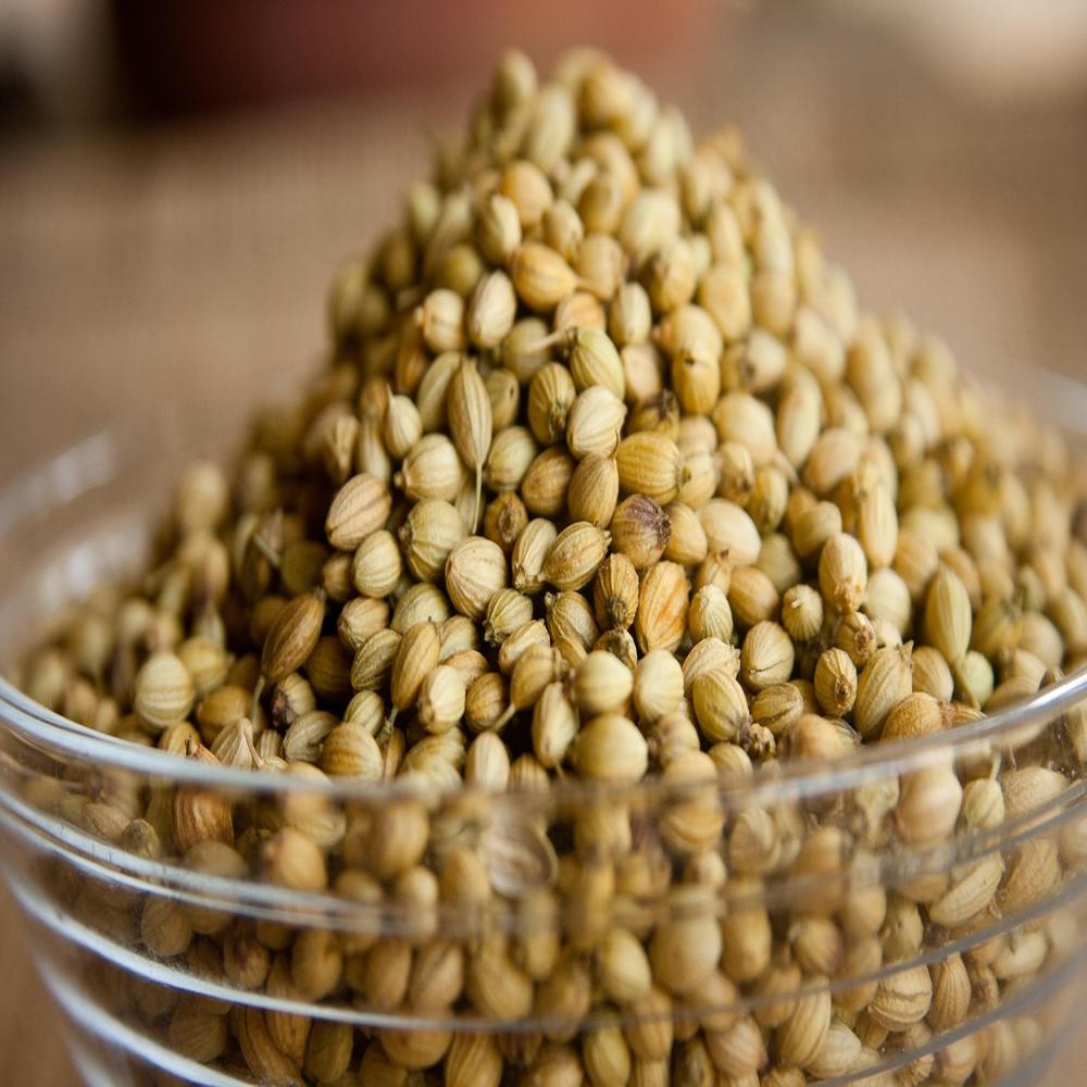 CORIENDER SEEDS