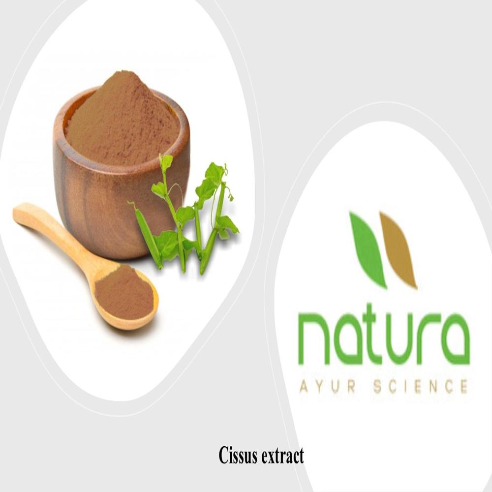 Cissus Dry Extract - Color: Brown Powder