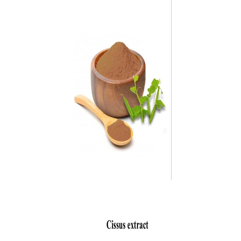Cissus Dry Extract - Color: Brown Powder
