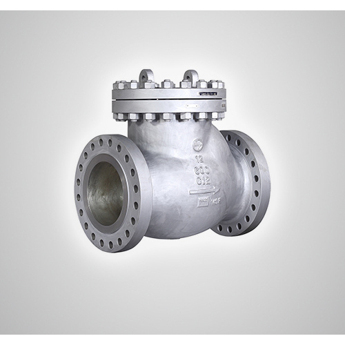 L&T MAKE SS NRV VALVE CS - CI