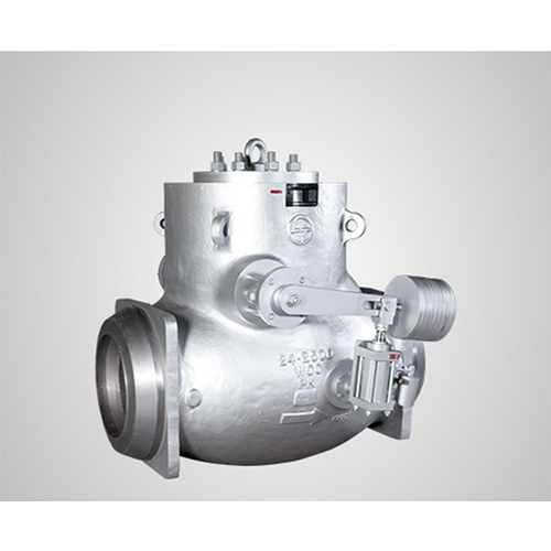 L&T MAKE SS CHECK VALVE CS - CI