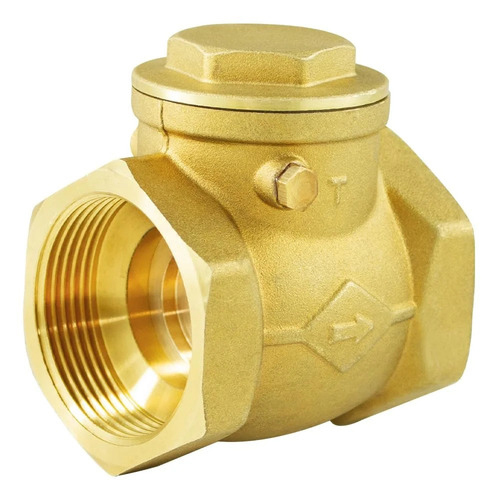 L&T MAKE BRASS CHECK VALVE