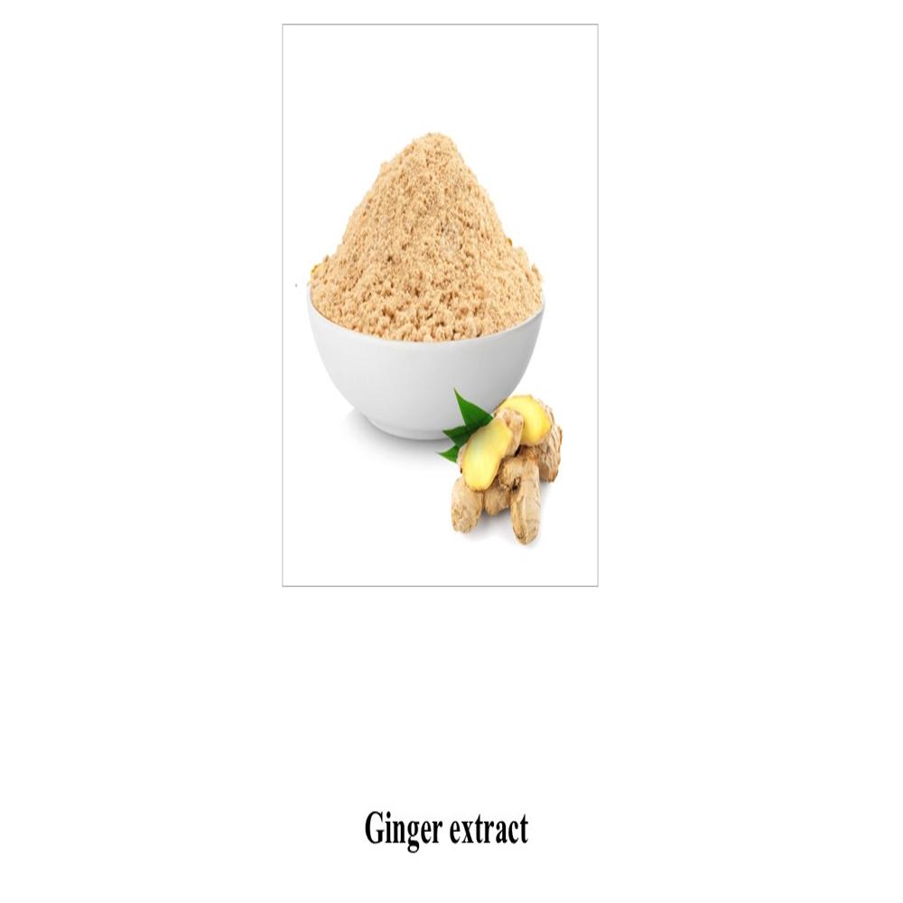 Ginger Dry Extract 5% Hplc - Color: Light Brown To Brown Powder