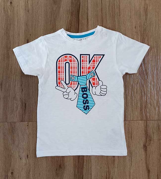 B16717 | Boys Printed T-Shirts