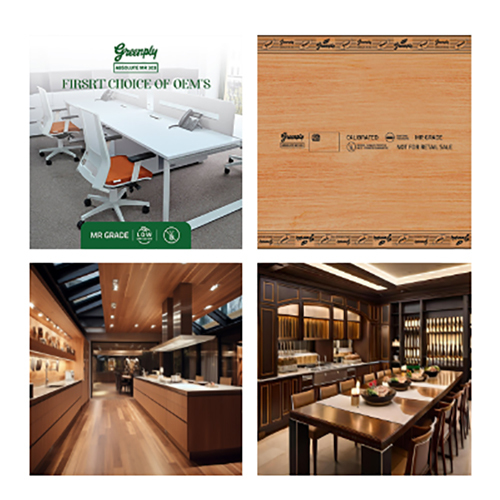 Greenply Absolute MR Plywood