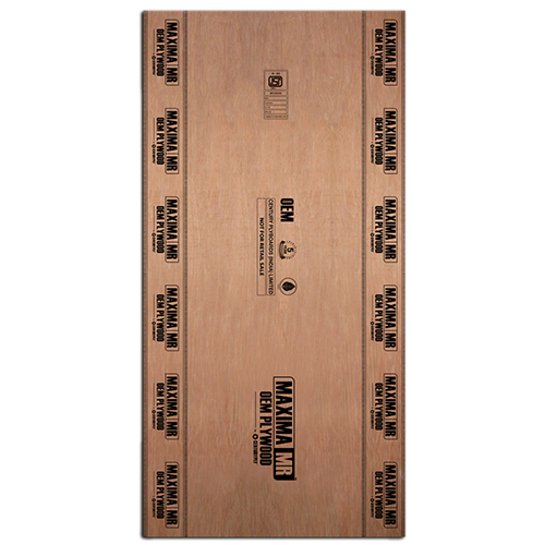 Century Ply Maxima