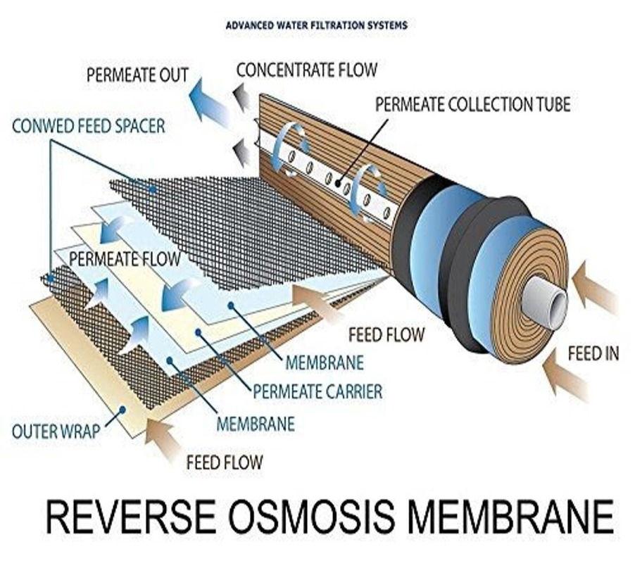 Ro Plant Membrane