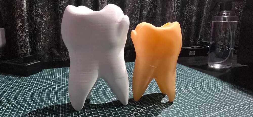 3d-printed Human Molar Tooth Model