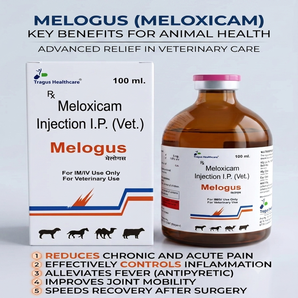 Meloxicam 5 Mg - Ingredients: Chemicals